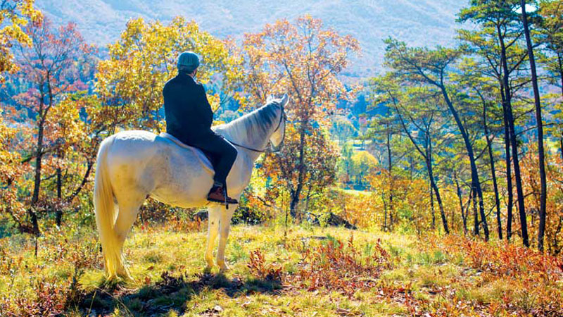 The Greenbrier offers activities like off-road driving, falconry, fly fishing, and others that are “part of West Virginia mountain life.”