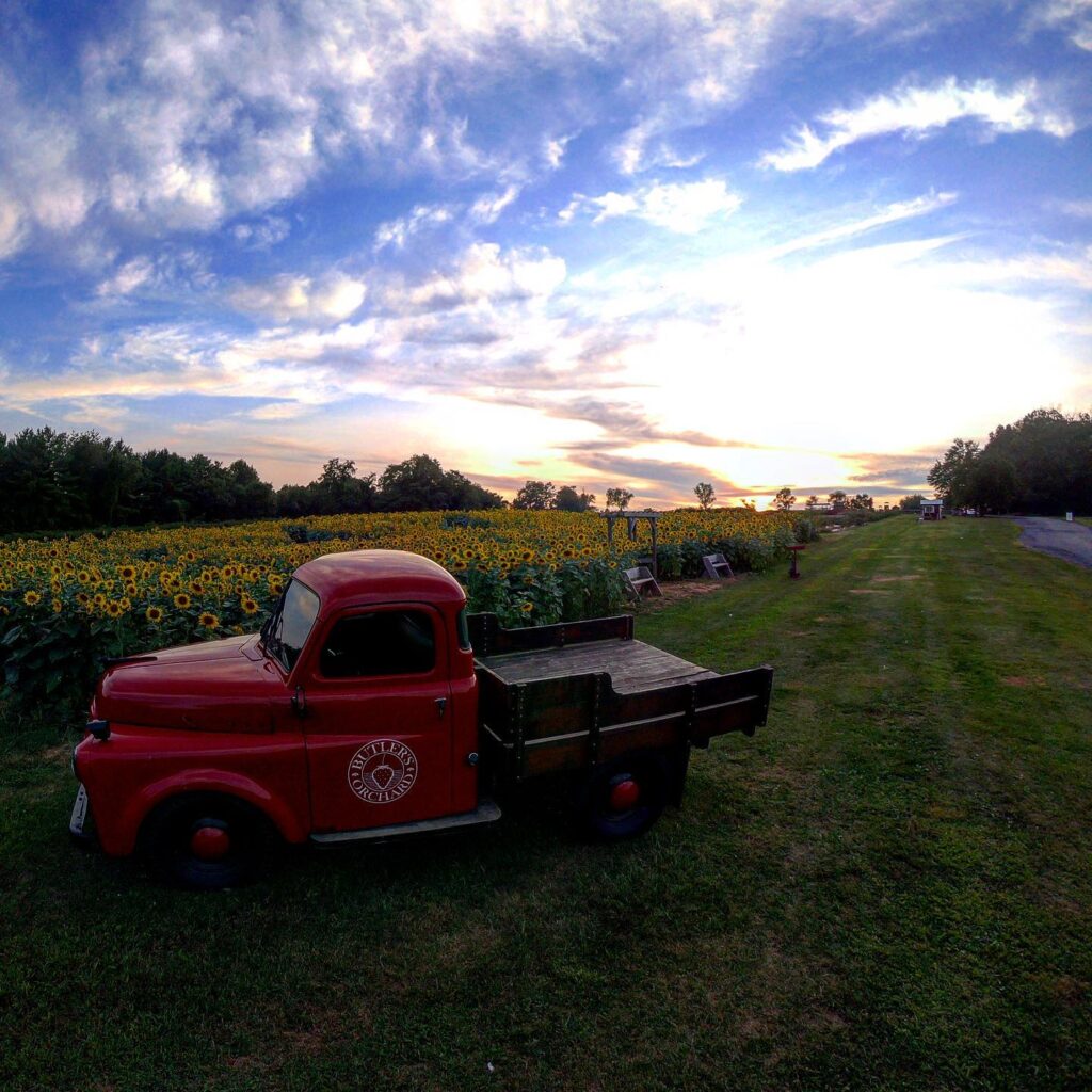 Butler’s Orchard is a family-focused farm with pick-your-own patches, hayrides, and a kids’ play area.
