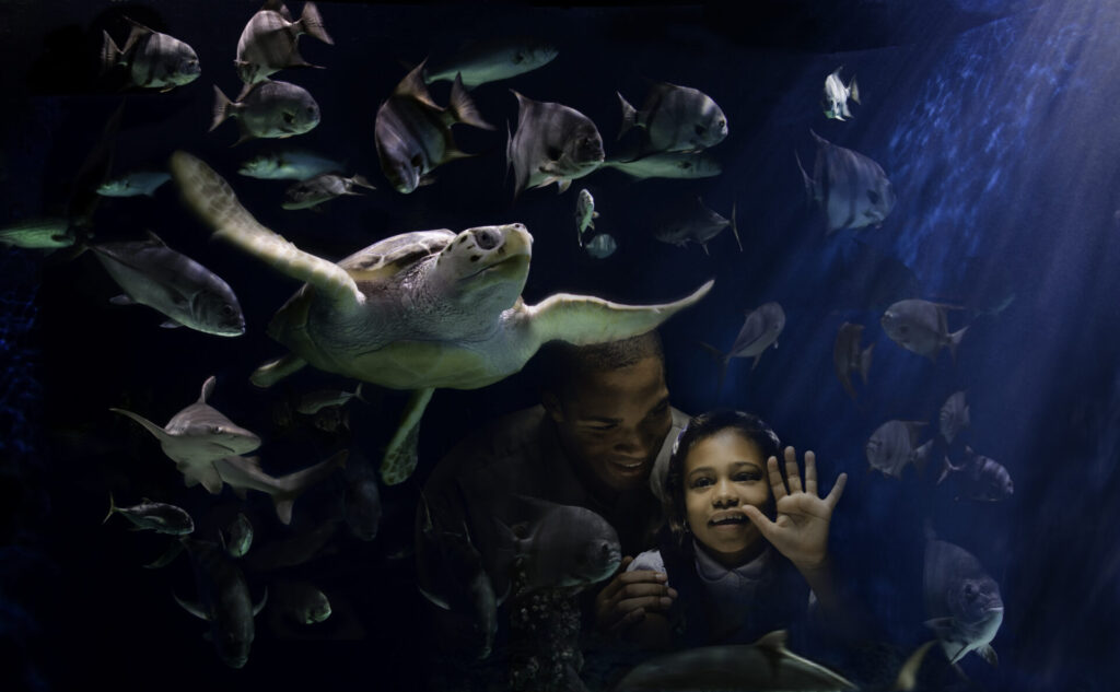 Newport News, Virginia Newport News, Virginia