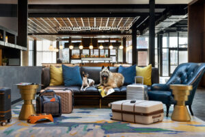 Pet-friendly accommodations have become such a key factor for travelers considering where to stay with their cats and dogs, and also for planners who consider venues for meetings and events.