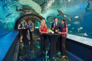 Newport Aquarium event spaces provides a unique offsite option for groups including cocktails surrounded by sharks. 