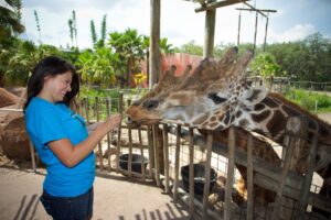 Families can purchase discounted passes to visit ZooTampa at Lowry Park and other area attractions.