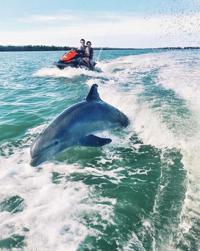 A couple on a waverunner follow a dolphin as its swims though the waters near Marco Island. 