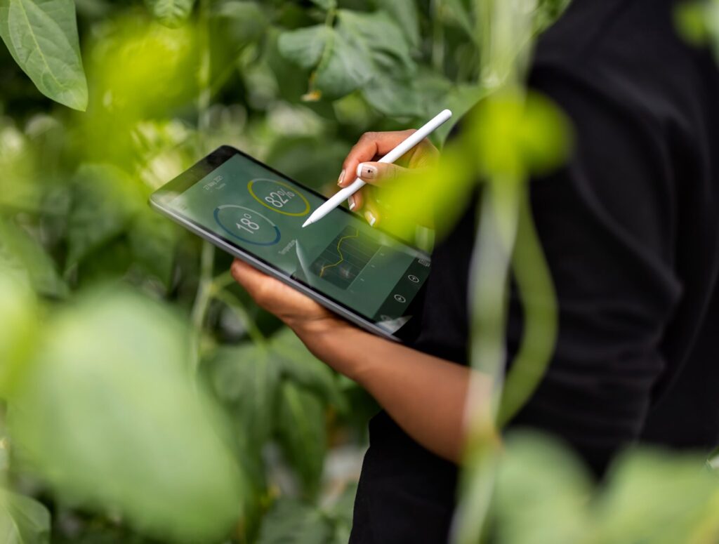 A closeup of an inforgrpahic sustainability report on a tablet screen surrounded by plants