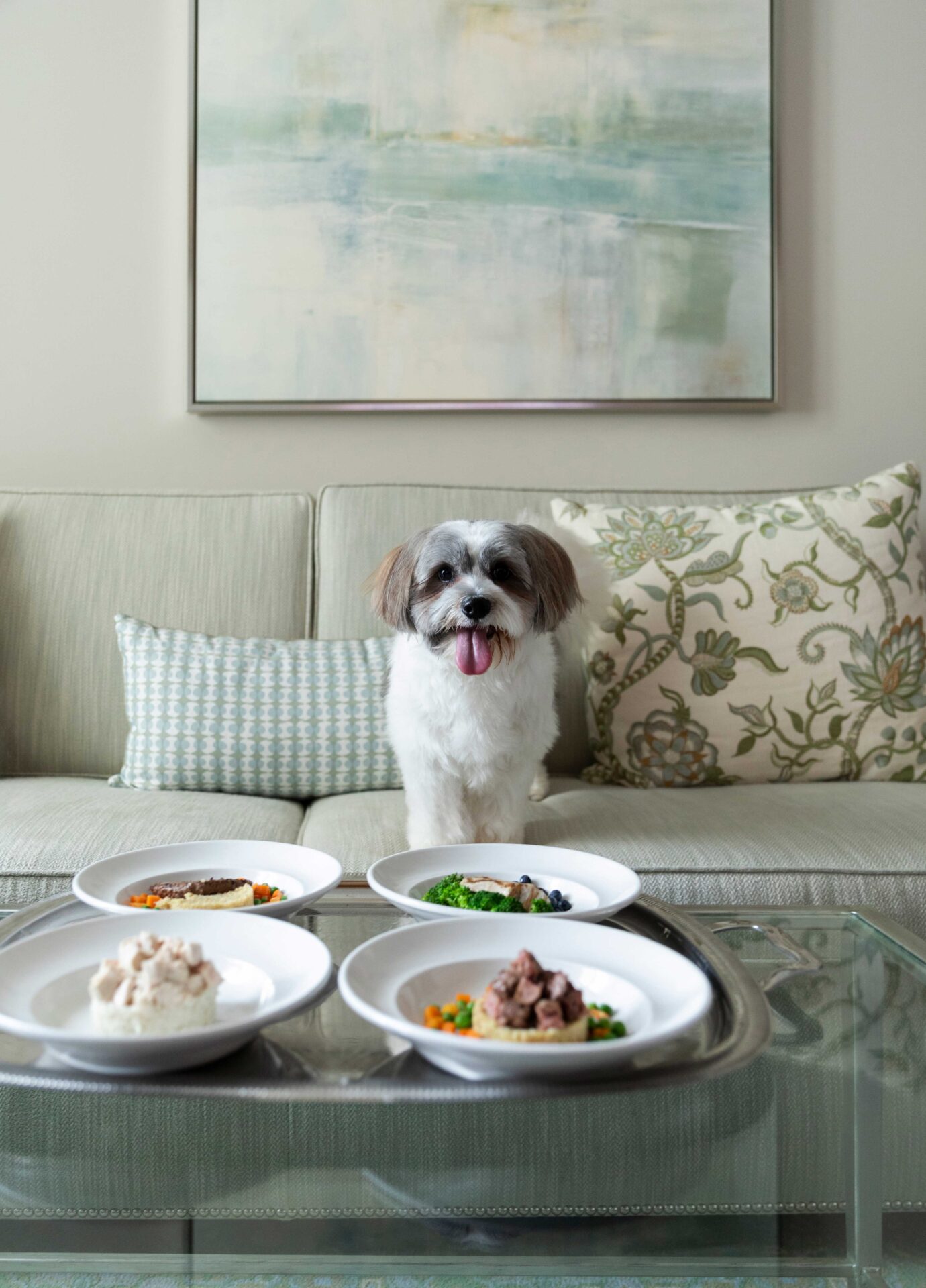 A dog sitting on a sofa with four bowls of food in front of it.