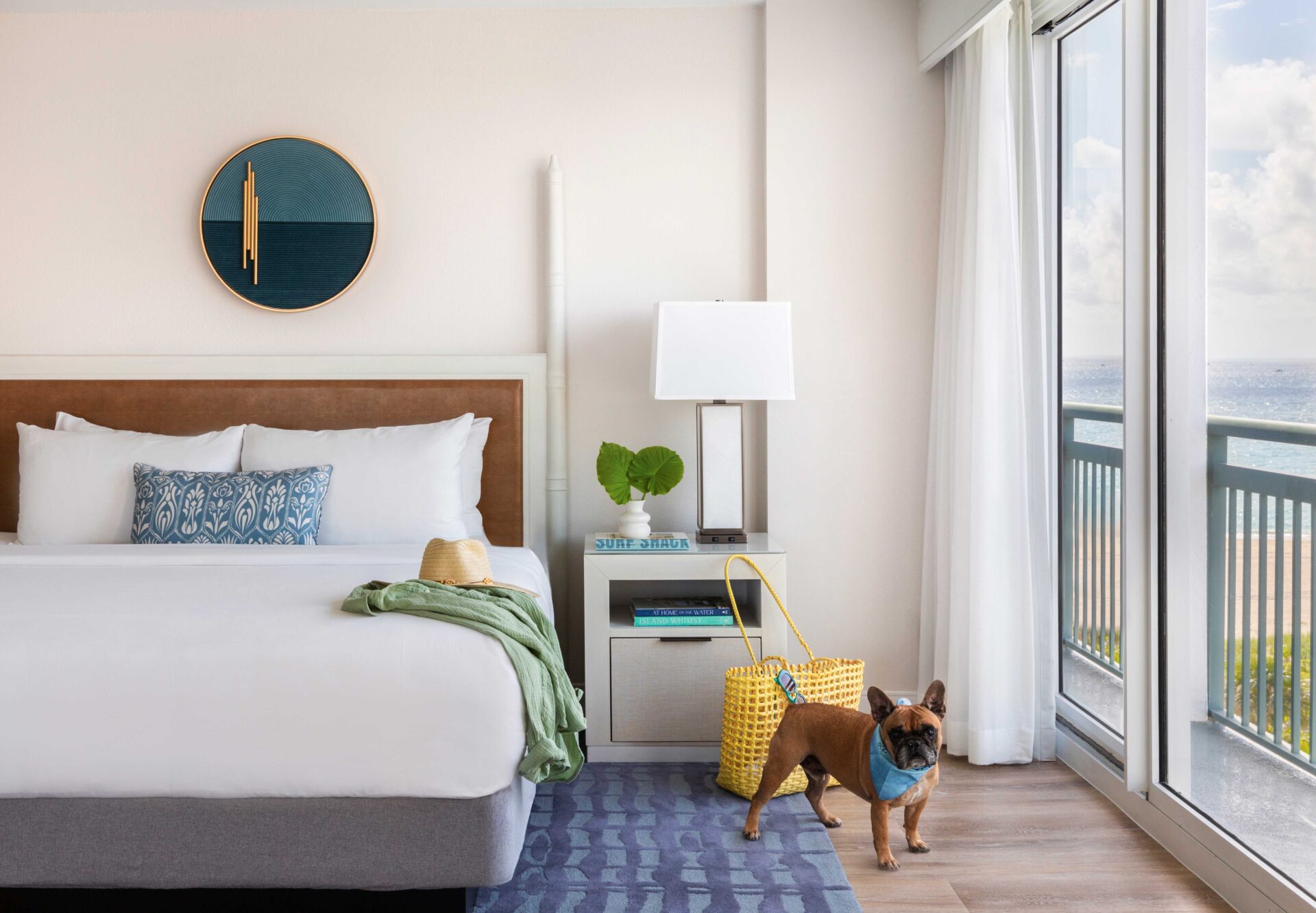 A dog in a hotel room.