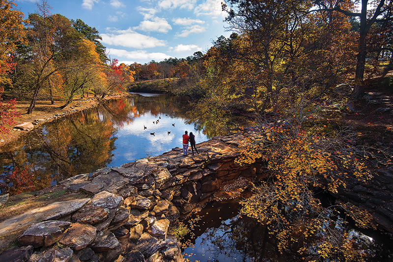 Petit Jean Cedar Creek in the fall.